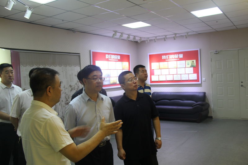 市商務(wù)局王奎局長(zhǎng)一行蒞臨集團(tuán)檢查指導(dǎo)