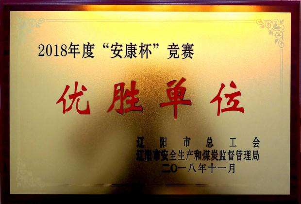 遼聯(lián)集團(tuán)榮獲“2018年度安康杯競賽優(yōu)勝單位”